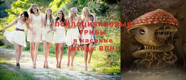 гашик Арсеньев