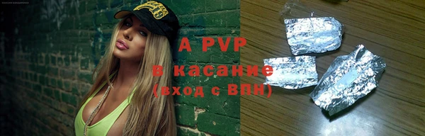гашик Арсеньев