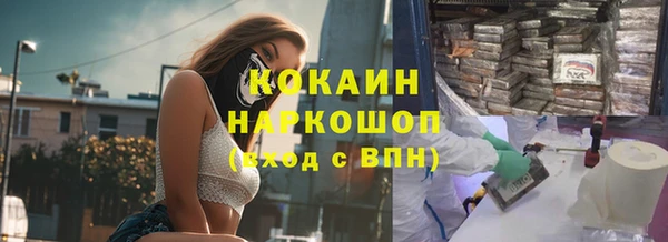 гашик Арсеньев