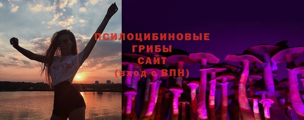 гашик Арсеньев