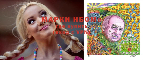 гашик Арсеньев